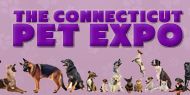 DaddyTimeCT's tweet photo. The Connecticut Pet Expo starts tonight at the @XLCenter in #Hartford https://t.co/tJHYah7t3l #Daddytime https://t.co/y50ZcDrd15