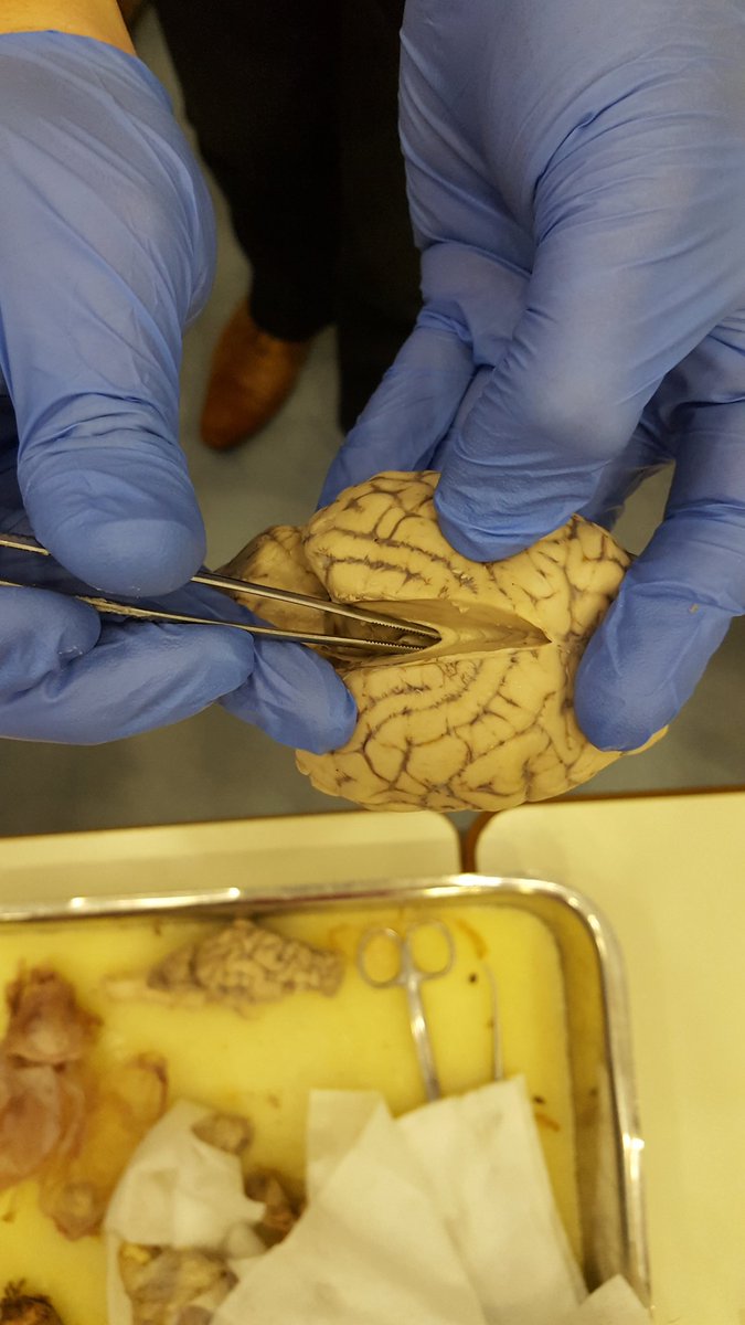 ASFC Psychology tweet media