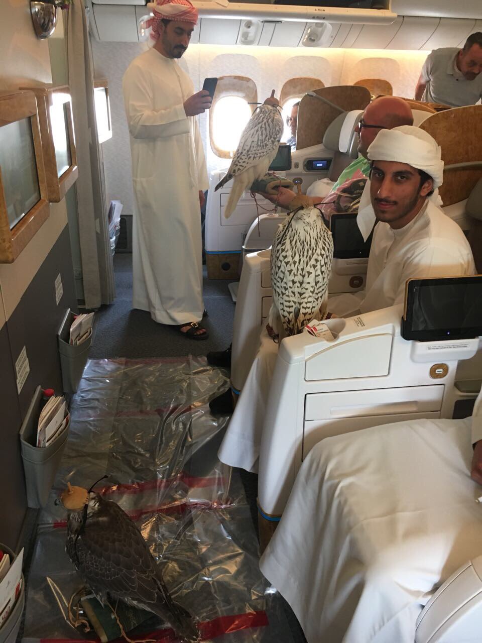 omar r quraishi on Twitter "Emirates doesn’t allow animals in plane