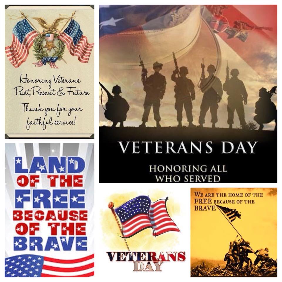 tweetSHRC's tweet photo. #VeteransDay2017 #VeteransDayWeekend #HappyVeteransDay2017 #veterans #gratitude #Heroes #gingerthellama #saddlesforsoldiers #ThankYou 🇺🇸🙌🏼 https://t.co/qoU4GHDayb