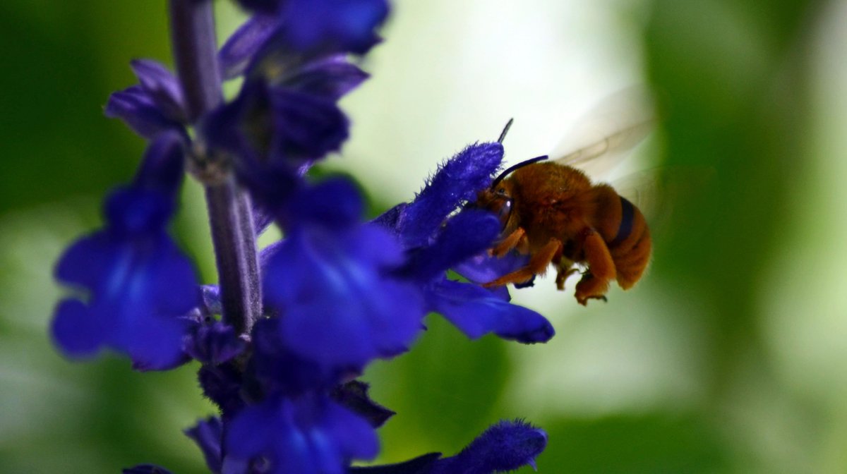 eric_j_g's tweet image. Taken at the beginning of spring #O2SPhoto