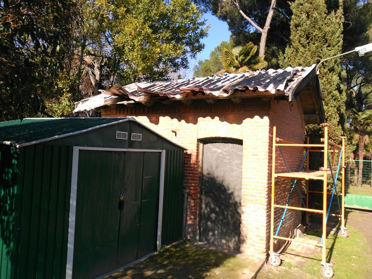 alberto__e's tweet photo. Hoy en el #ParqueODonnell plantaremos un arce en conmemoración de #Cisneros y haremos una visita guiada en la que veremos un elemento original del parque restaurado. Una caseta de bombas de riego. Fue dañada por un pino en 2010. #IniciativasDelCambio. https://t.co/Tyfayb6U1G