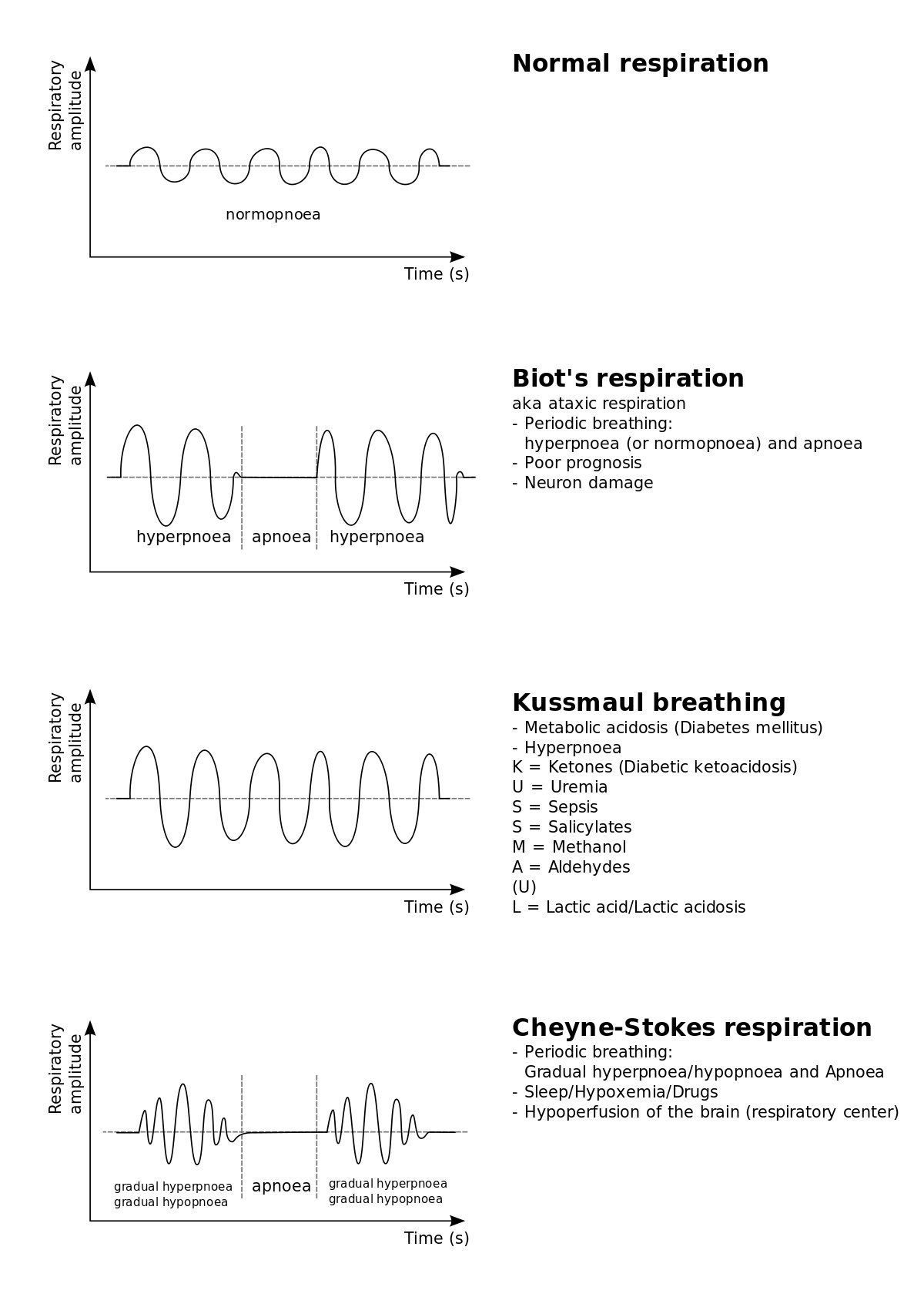 Respiratory Care on Twitter "RT RespCare_ksa RC Respiratory 