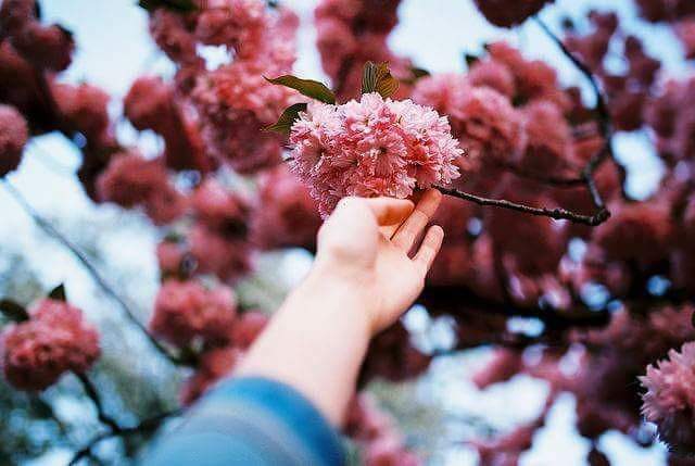 BasbostH's tweet photo. The future belongs to those who believe in the beauty of their dreams.” 🌸💜 https://t.co/XL0MFp70Kx
