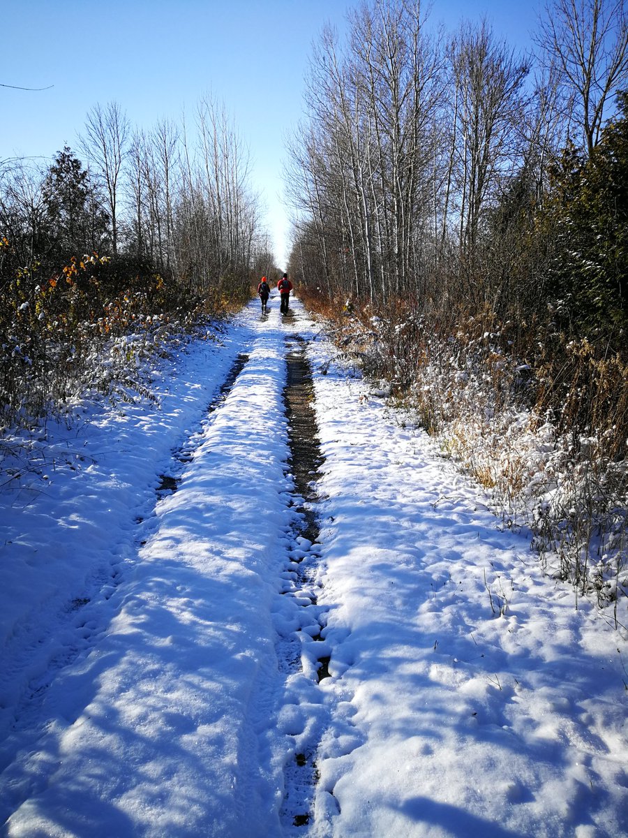 dieselRuns's tweet image. An ambitious journey from Guelph to Millbrook with @Mrsbatgirl78 and @run_adventures leading the way! It was cold but we got there with only our water bladders frozen. #AdventureAwaits #GoRarebits #runnerBliss #run