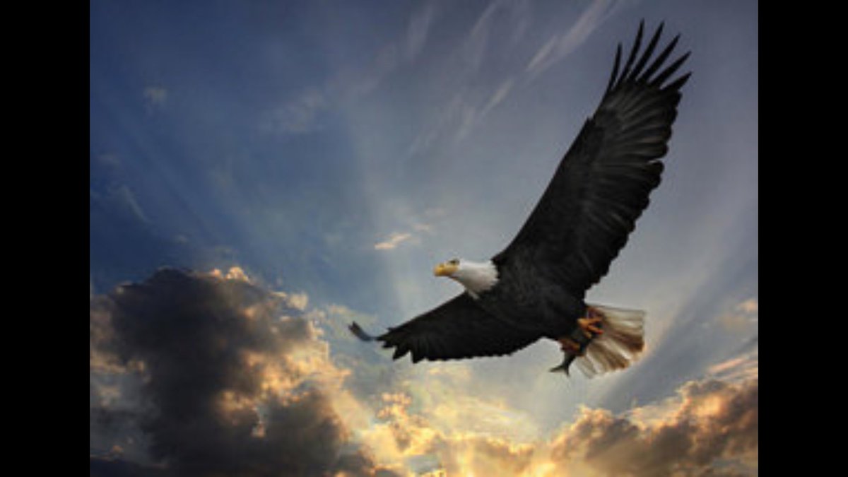 Dave Brunetti tweet media