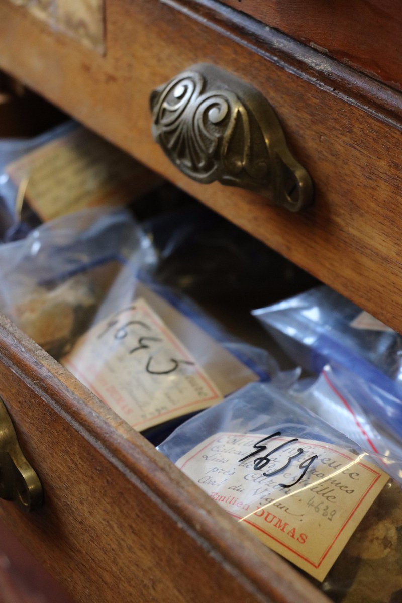 EnigMixeurs's tweet photo. Que de trésors à découvrir dans la collection d'Emilien Dumas ! #museumhistoirenaturelle @museomix @nimes #MSXNimes https://t.co/PNwTnE2mA7