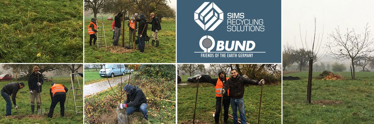 WELL DONE - SUCCESSFUL TREES PLANTED - All adults and
children were there with enthusiasm and were happy about the great result. - We thank all those involved for the good deed!