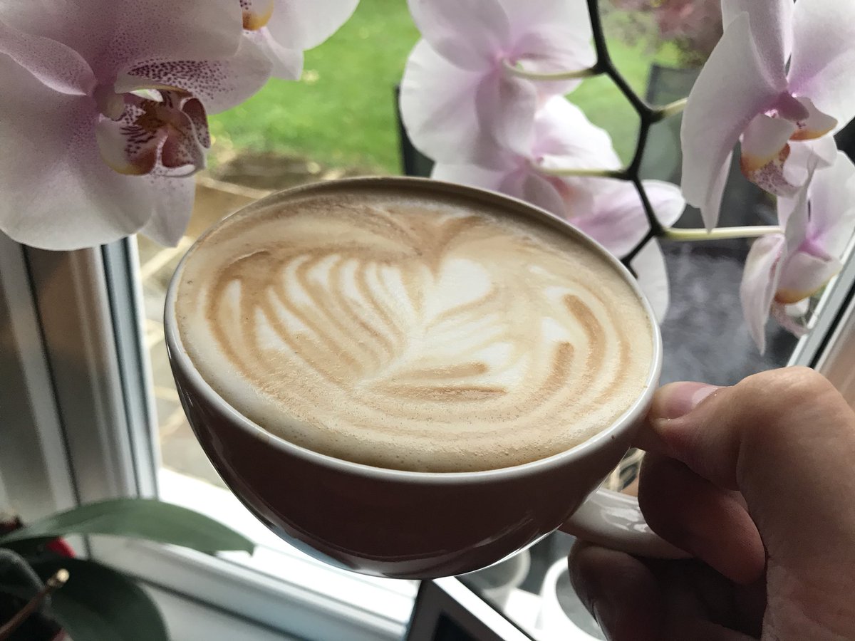 PuebloCoffee's tweet photo. Weekend is finally here! Let’s get some coffee to warm up this cold and rainy morning #coffee #pueblocoffee #specialtycoffee https://t.co/jOAzKTM5bW