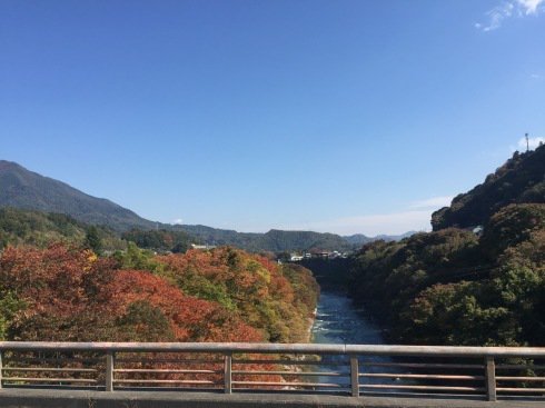 コルナゴ　アルミ新鮮な感じ を投稿しました。 #エキサイトブログ
koiakira.exblog.jp/26132705/