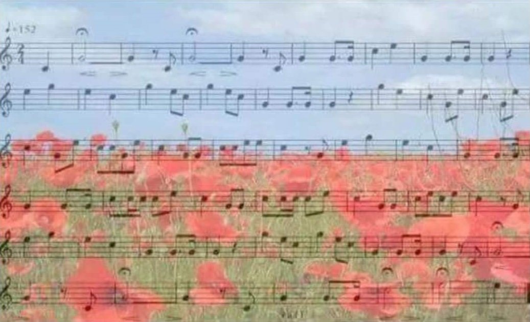 randandasquith's tweet image. On the 11th Hour, of the 11th Day, of the 11th Month, 
When the guns fell silent, we will remember.
#LestWeForget  #RemembranceDay2017
