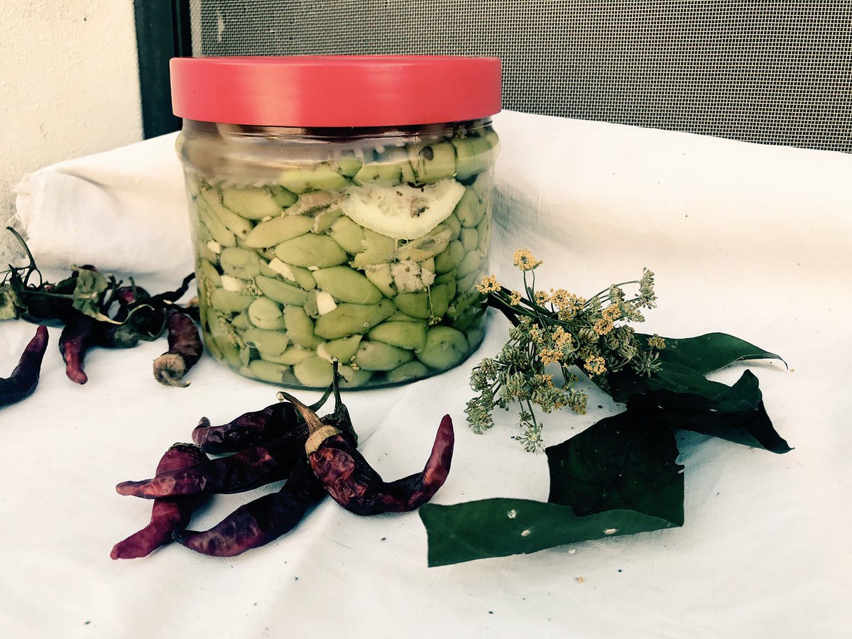 CalabriaSoul's tweet photo. Classici d'autunno: Olive ammaccate - #olives #calabria #ricette https://t.co/v74UohCqTR @cheffrancolania @WeLoveAncestry https://t.co/AUvCUPNTNl