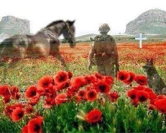 For those who leave never to return. For those who return who are never the same.  #LestWeForget