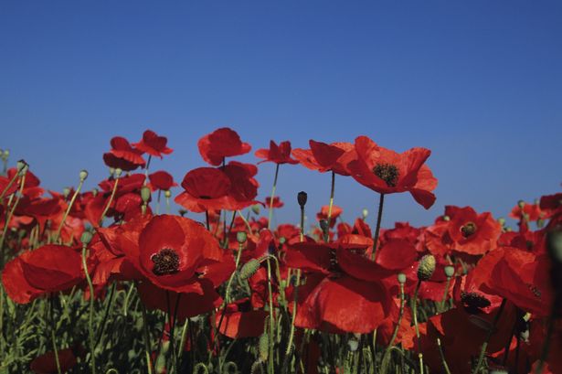MountCars's tweet photo. Lest we forget. https://t.co/obL23eed6V