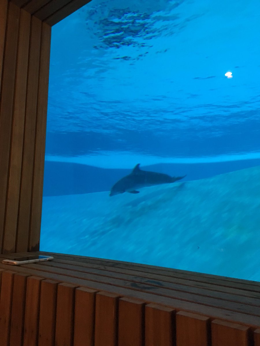 Sanna 🌲🌳🌿 tweet media