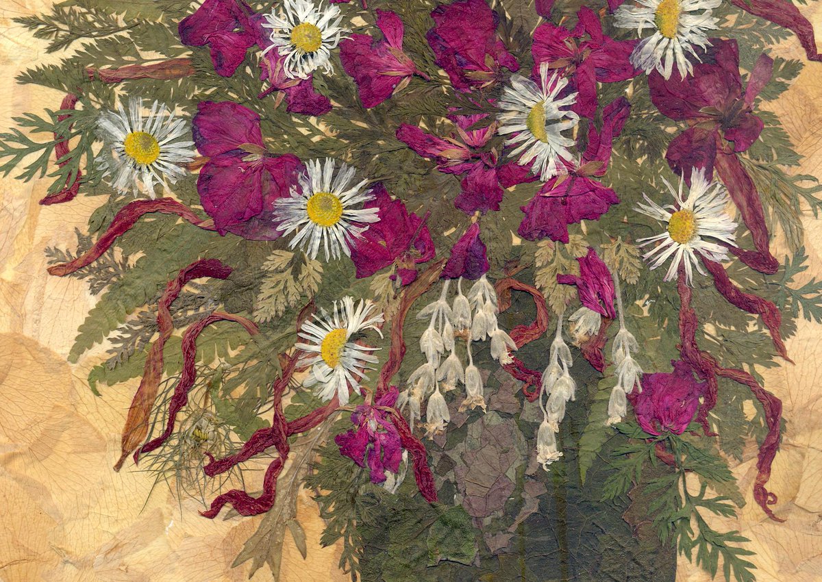 Glirencai's tweet photo. Dried daylily, dahlia, buzulnik, petals of a yellow rose, carrot leaves and others plants, natural wooden frame https://t.co/z60XzDqM30 #pressedflowers #driedflowers #driedleaves #herbarium https://t.co/UIQMZXEnyJ