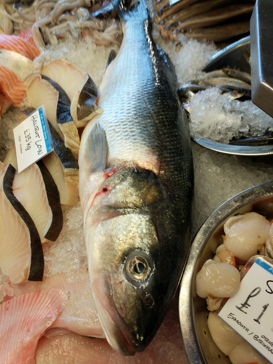 Lovely 7.5lb Bass #rodandline #Exmouth