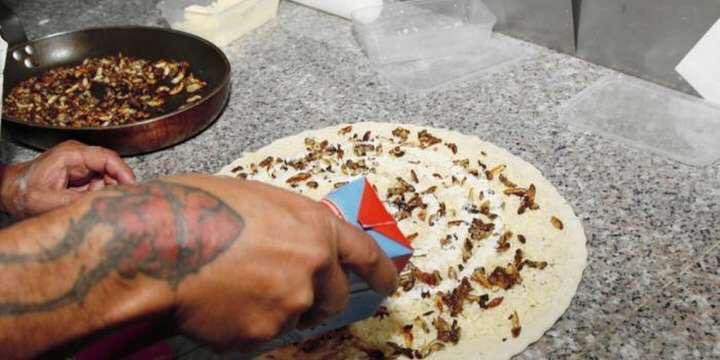 Pokhara8's tweet photo. @Klaire Et les pizzas aux larves de guêpes, vous connaissez ? #LaRéunion #team974 #WeAre974 @hotessedeuler 😜 https://t.co/JQf002lS2P
