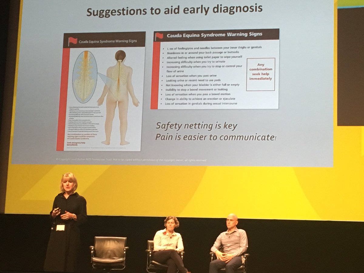SallyThinks's tweet photo. Really brilliant lecture by @LaurafinucaneB Chris Mercer and Susan Greenhalgh @PhysioMACP #physio17 #CES @nhs_sct @care_unbound @thecsp @Mercephysio https://t.co/4fPFAwhNvG