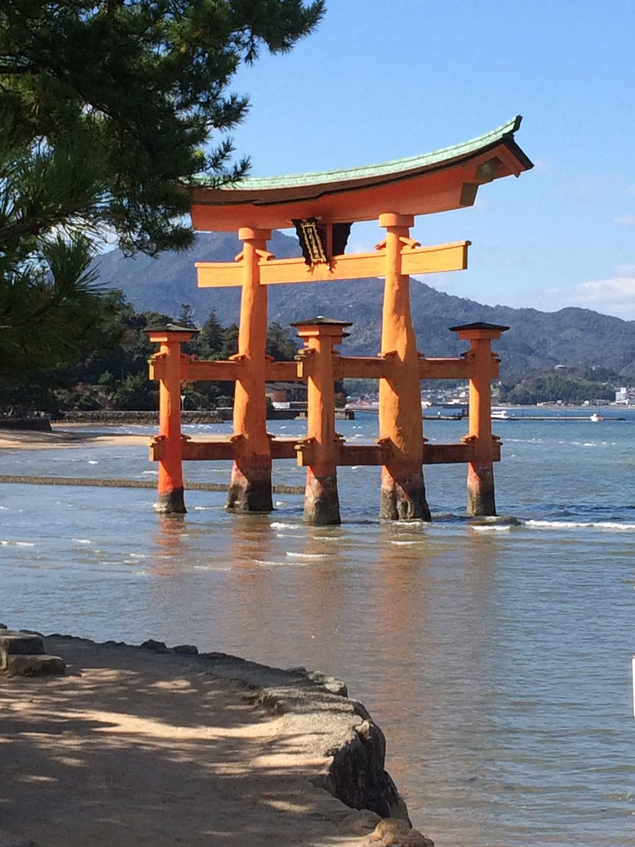 LesleyLelourec's tweet photo. Great day accompanying international students @hiroshimacity_u including Lola+Amélie from @UnivRennes_2 to Miyajima island #Cirefe https://t.co/36e0YLc7yo
