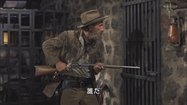 アドラン リボルビングライフルっていう 見た目はカッコイイ銃 パーカッションロック式リボルバー の欠点がそのまま残ってるっていう余りにもアレ性能なんで直ぐに他のライフルにとって代わられたとか 映画だとエルドラドぐらいでしか見たことない