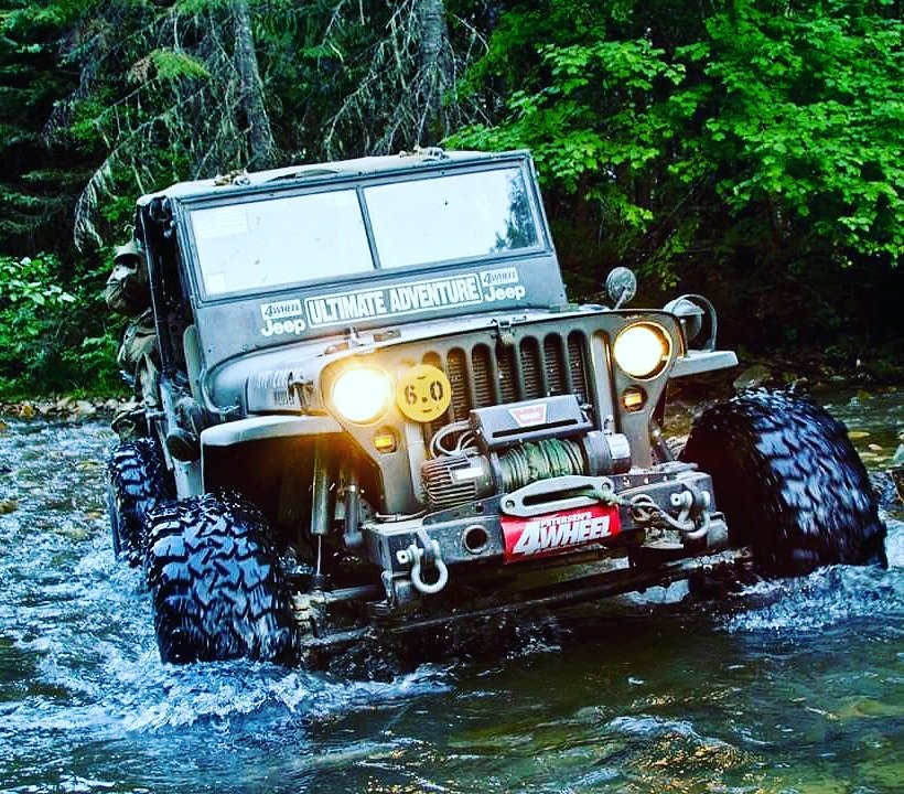 AWildWheels's tweet photo. Jeep Willys πͺππΏ #jeep #willys #jeepwillys #ecorutas4wd #warn #offroad #willy #jeepwilly #conocevenezuela #rustic #4wd #mega4wd #4x4 #barro #4x4life #arb #naturaleza #swamper #sigue_a_mega4wd #panama #Repost @mega4wd https://t.co/agigWzVXSk