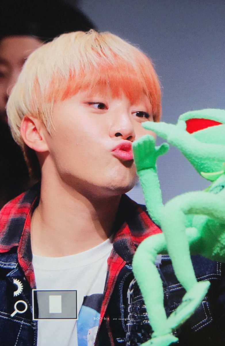 VerkwanPL's tweet photo. after seeing what seungkwan did to the kermit, vernon just— https://t.co/PlC2H5mmGp