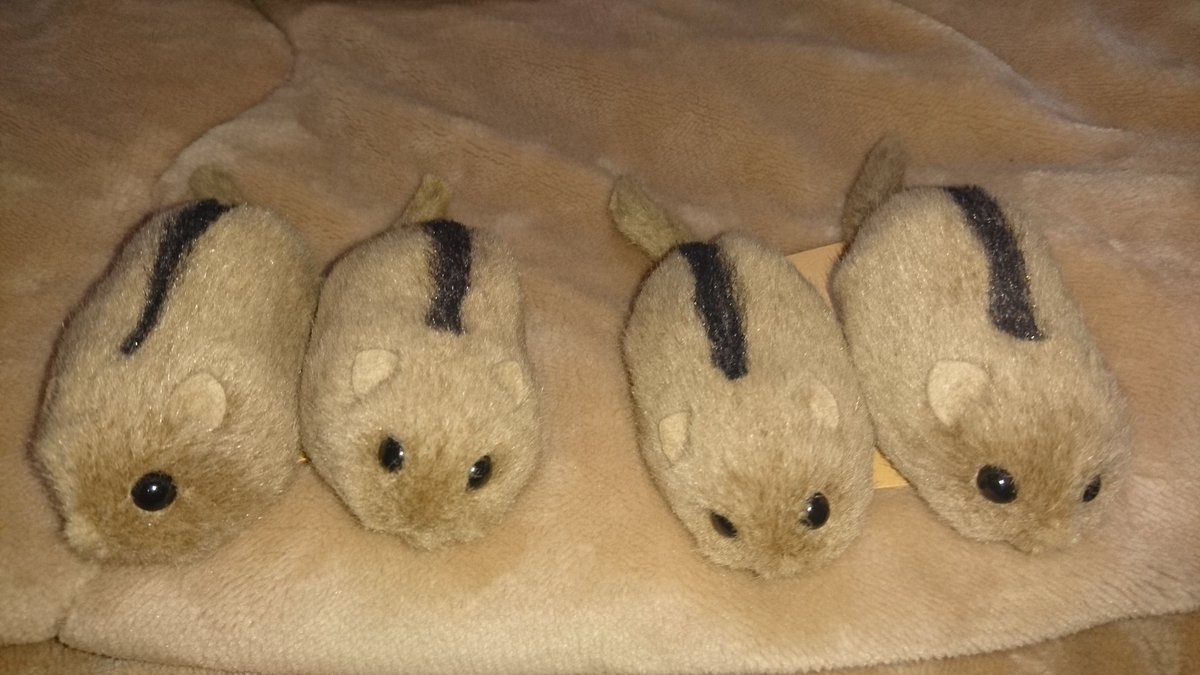 ネットで大人買いした「やまね工房」のヤマネの縫いぐるみで… #11月11