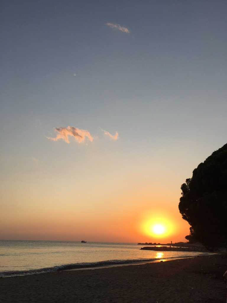 Ne zaman kırılsam birilerine
Sükut nakışlı hırkalar giyiyorum
Kıvrılıp da içimin denizlerine
Boş ver nasılsa öleceğiz diyorum...