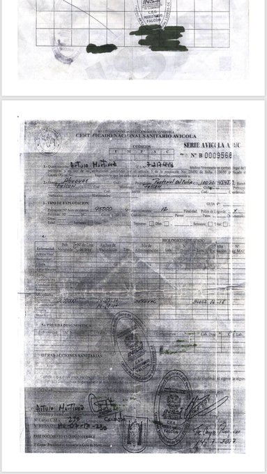 Ver imagen en Twitter Ver imagen en Twitter