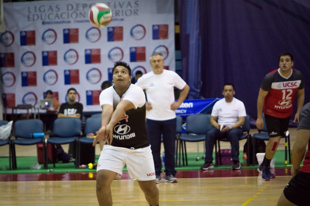 INDChileOficial's tweet photo. 📺HOY FINAL VOLEIBOL EN VIVO EN https://t.co/iB6ziV6UD6
🏆#FinalesLDES
🏐Vóleibol varones
📅11 de noviembre
🏟️Gimnasio Regional
⏰14:00
☑️U. Católica de la Santísima Concepción vs U. Andrés Bello https://t.co/XPkRmwlwCH