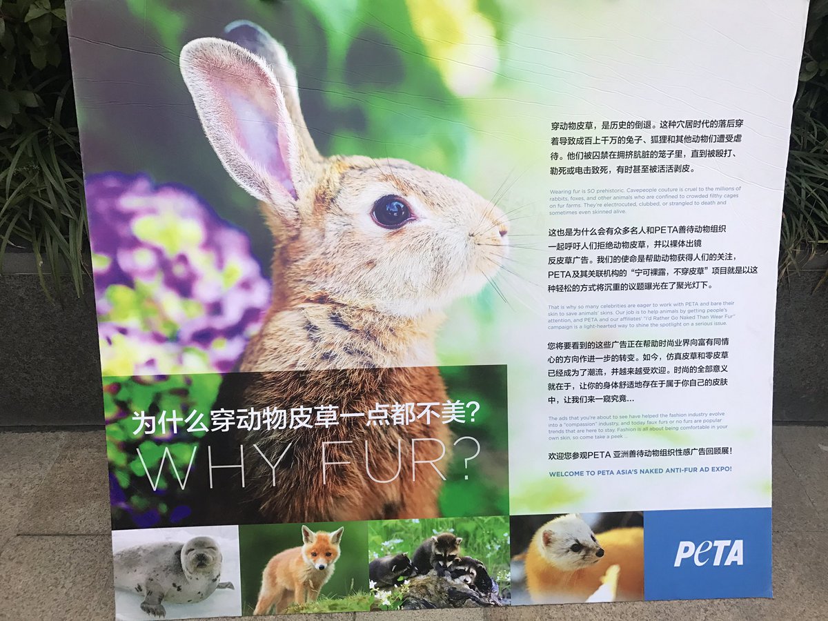 tofanyi's tweet photo. #GoVegan #China #吃纯素 https://t.co/pUrR6ULq69