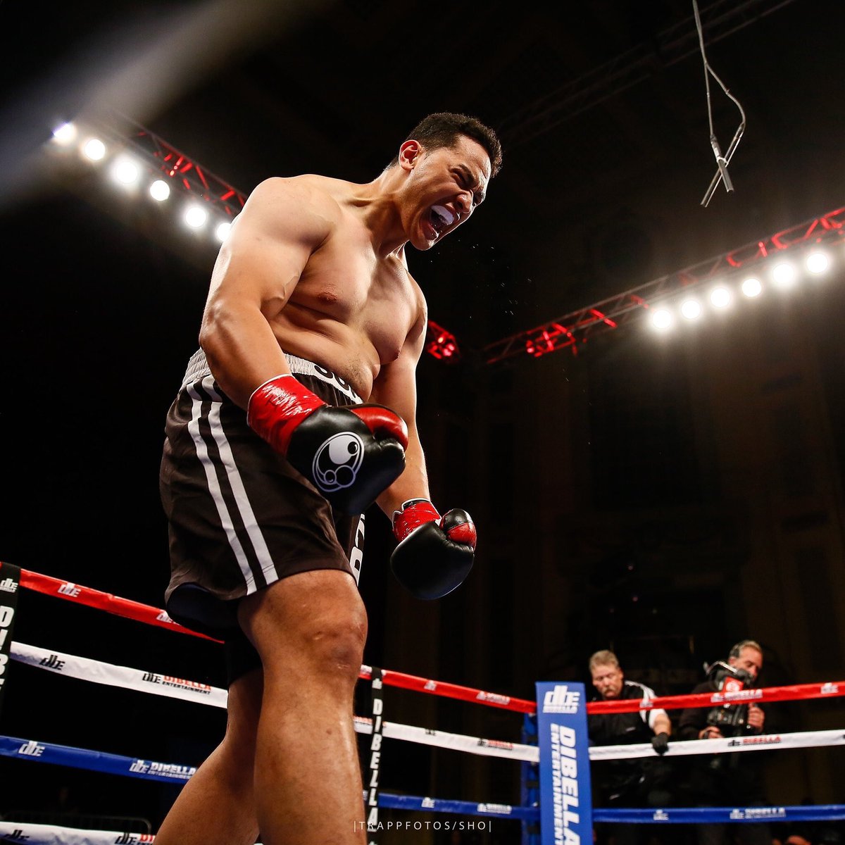 And in “More Tongans Winning” news, <a href="/juniorfaboxer/">Junior Fa</a> knocked out previously undefeated Fred Latham in his US TV debut last night!!
Junior Fa with the 1st round KO 
He remains undefeated at 13-0
🇹🇴🇹🇴🇹🇴