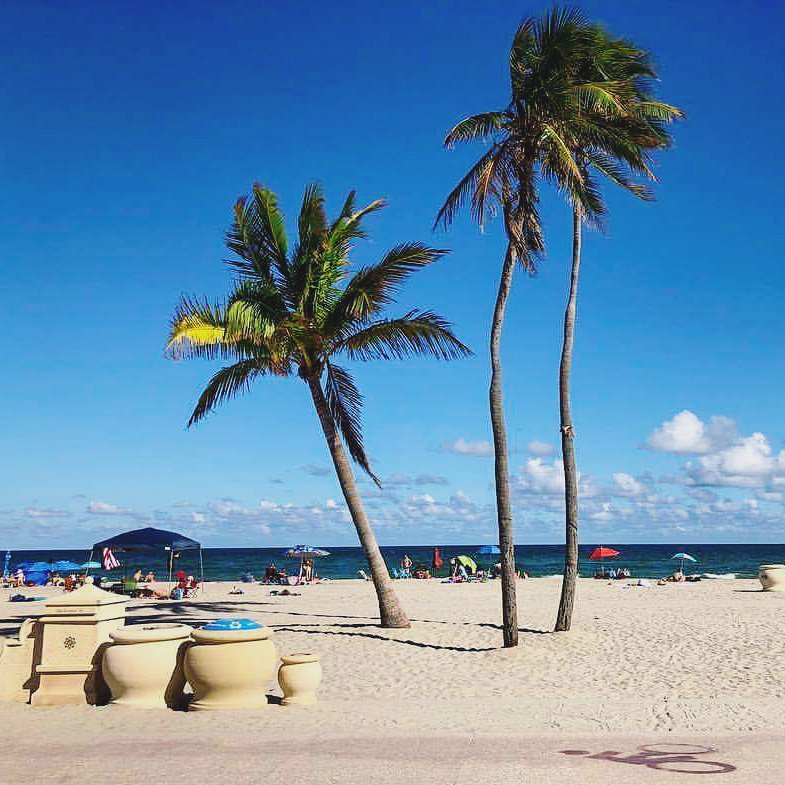 Mode_Events's tweet image. Great meetings in Miami not to mention the amazing weather! But back to the grind! Headed Back to Chicago! ✌️🏝️

#modeevents #dj #events #eventdj #Miami #Florida #palmtrees #grind #hustle #chicago #experientialmarketing