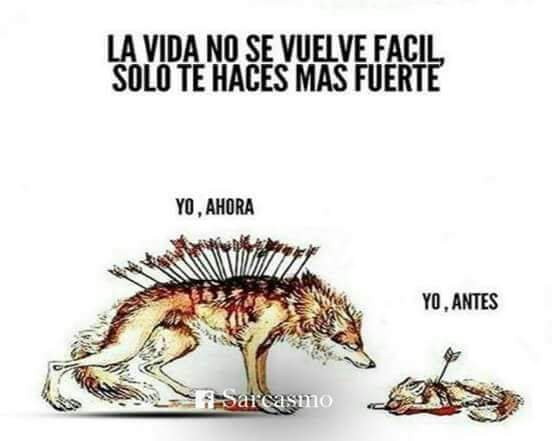 Dr_EmilianoRdgz's tweet photo. Cada caida te hace mas fuerte. https://t.co/Y1ORitGhqH