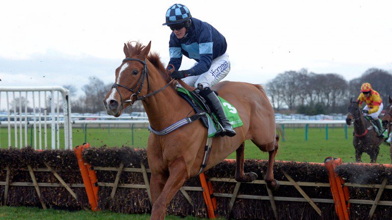 RacingPost's tweet photo. Scott's stable star Melodic Rendezvous retired after Wincanton run https://t.co/DBXeaGkzdi https://t.co/jjntCL0ltZ