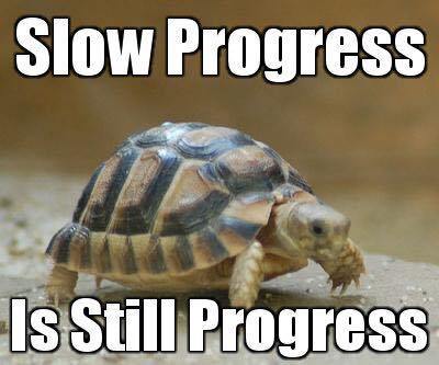 Kimberley_Blogs's tweet photo. Progress https://t.co/kRGLp1U4TN https://t.co/8h6Dwp16GF