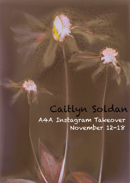 a4aphoto's tweet photo. A4A artist Caitlyn Soldan is taking over the A4A instagram feed 11/12-11/18! Check it out! https://t.co/zC7AWnajmo https://t.co/lzE4T1EVrY