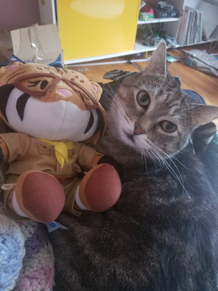ohemilyjane's tweet photo. Pippin likes his new friend Appy #df17 #salesforcepets #petforce @salesforce @Dreamforce https://t.co/lwHwgdpZtQ