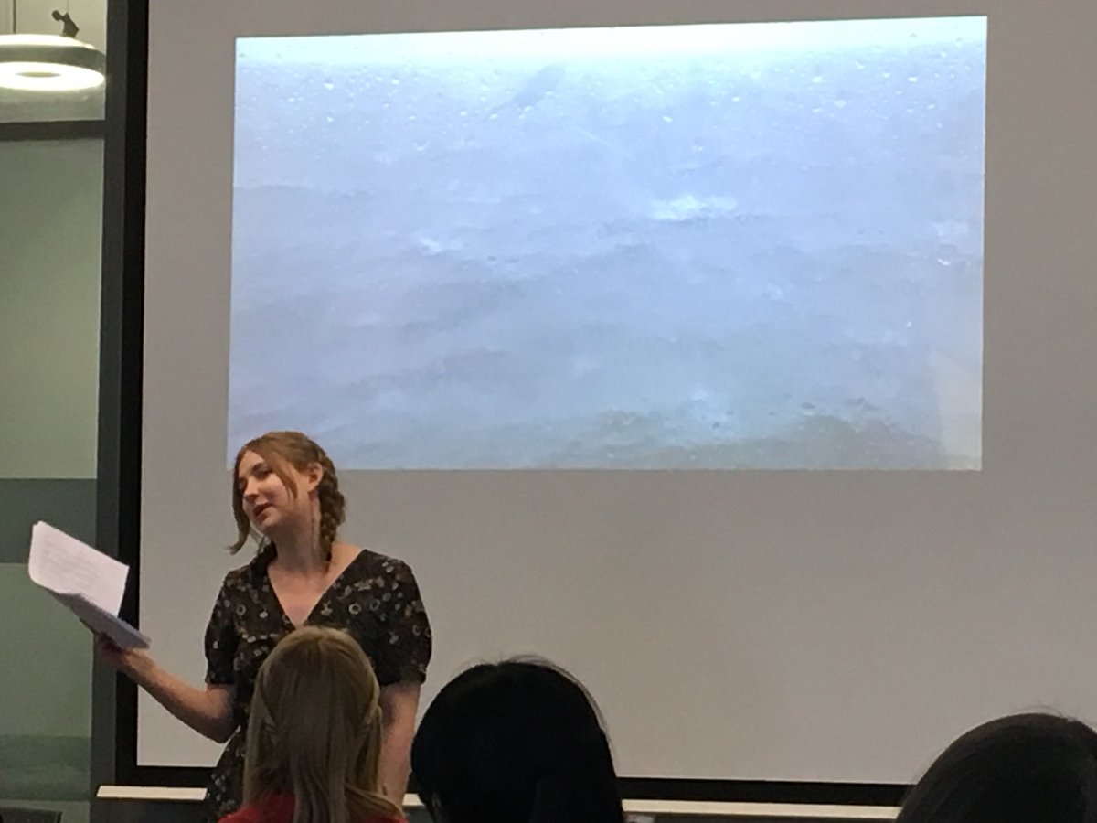MlleKitty's tweet photo. I missed Sarah Fletcher’s presentation (I️ was on my own panel) but I did get to see her read and buy her beautiful book. #plathconference17 https://t.co/CkoDrk7bvk