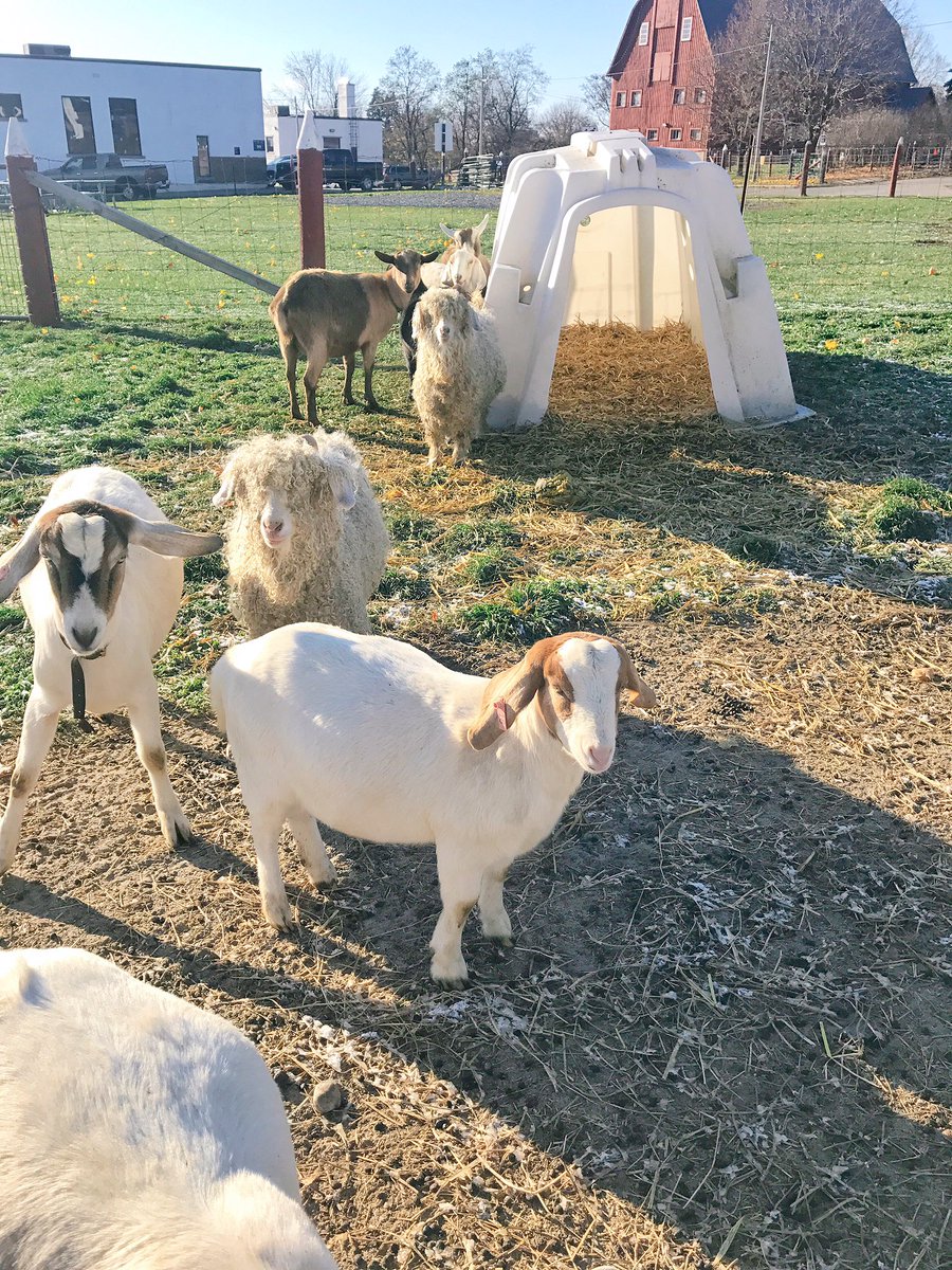 emlark's tweet photo. Farm fwends https://t.co/MUuSbJmWJq