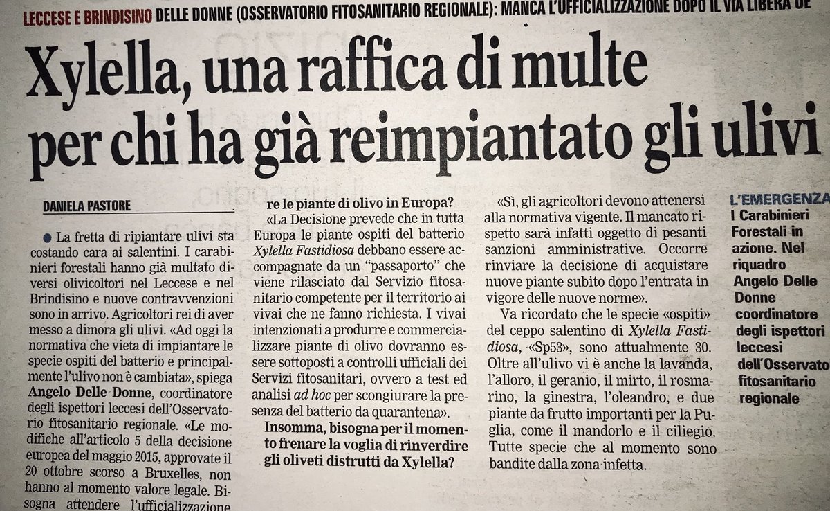 dukana2's tweet photo. E adesso arrivano multe salate per chi ha “osato” reimpiantare gli ulivi in #Puglia dopo il taglio per l’inesistente #Xylella: deve passare il #Tap...lo volete “capire”? Non facciamo incazzare il dittatore azero! Ohhh! 😈#Notap https://t.co/naE9My7iem