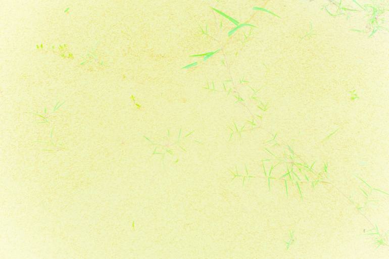 JoeChanTaiwan's tweet photo. perfume by Joe Chan
Size: 12.1 H x 18.2 W x 0.1in
You can buy it
https://t.co/7tkAYwm5Bq

#art #artwork #abstract #yellow #modern https://t.co/T4TzQaWUiJ