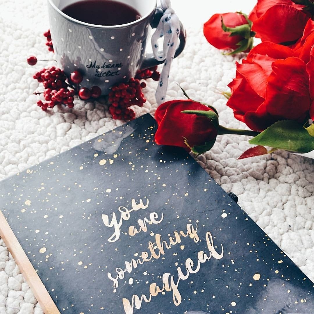 UredjeniHaos's tweet photo. you are something magical
#uredjenihaos #planer #rokovnik https://t.co/W6Rd99LIWZ