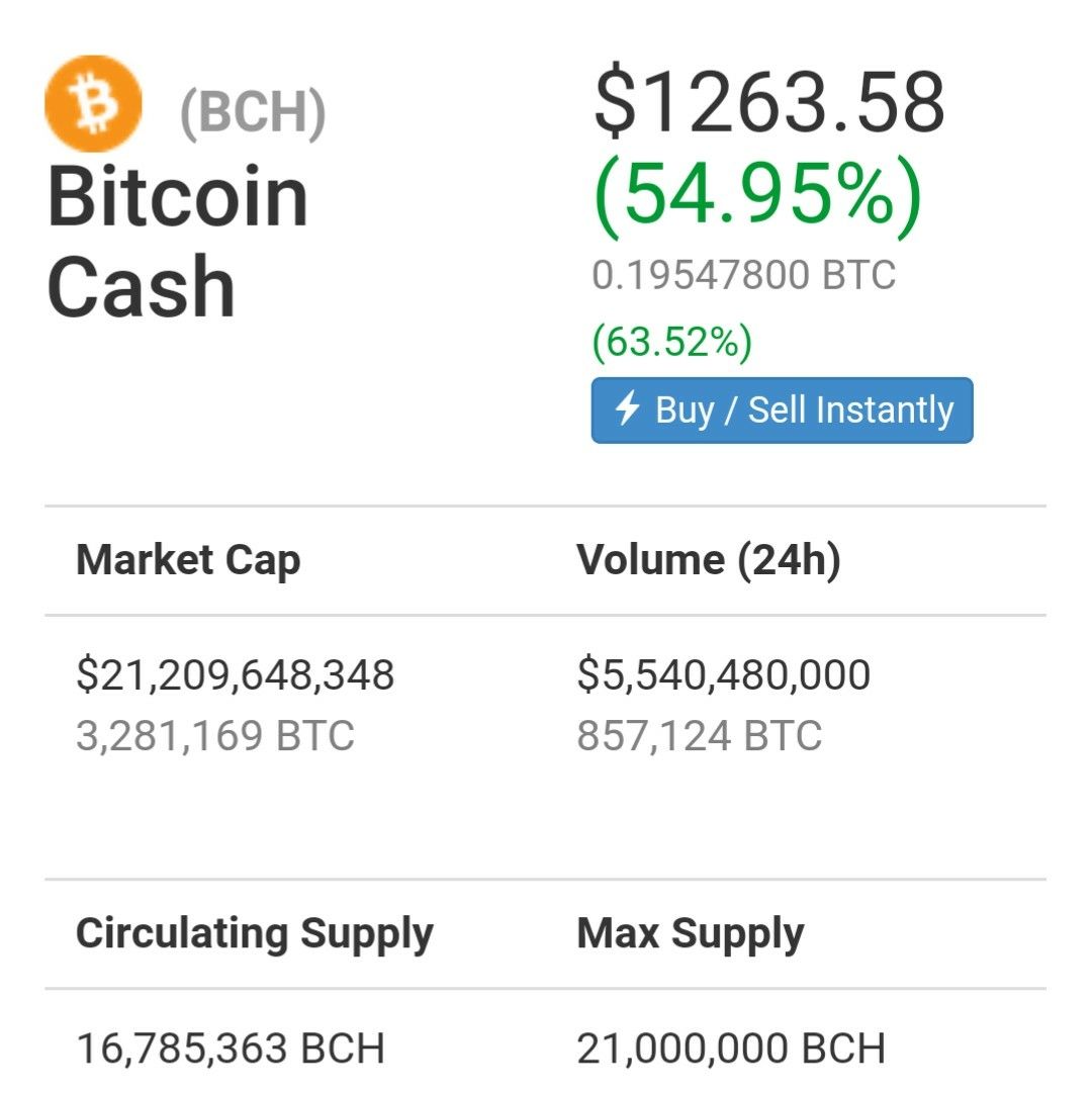 bitcoin cash hat