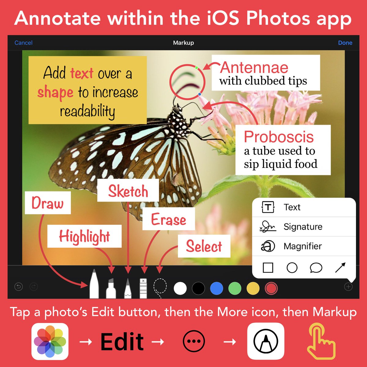tonyvincent's tweet photo. ✏️ Did you know that you can markup an image with the built-in iOS 11 Photos app?!

It is kind of hidden... Tap a photo's Edit button, then the More icon, then Markup. Works great for screenshots too!

And, there's a Highlight tool! https://t.co/pVDSAtcpyY