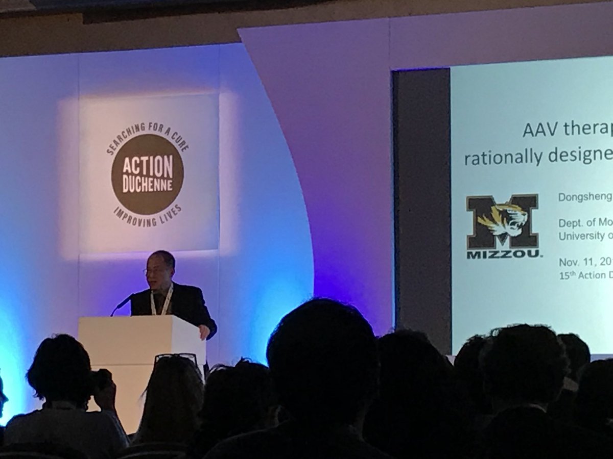 oligogirl's tweet photo. Dongsheng Duan now presenting in the gene therapy session on microdystrophin. We need microdystrophin because the only virus that infects muscle (AAV) is too small to contain the code of the full dystrophin #ADCon17 https://t.co/1LloBbfxC5