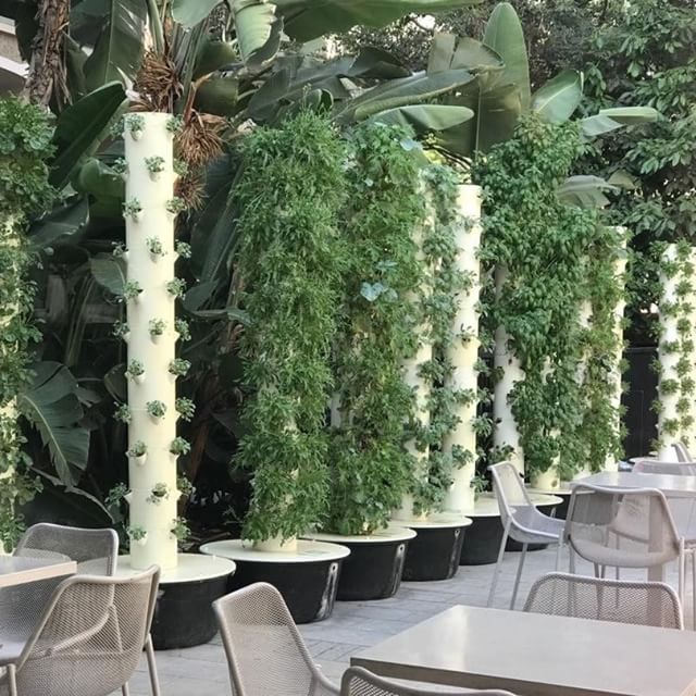 Odyseed's tweet photo. Have you moved your Odyseed Funa indoors yet? https://t.co/zU1vLb0OY2