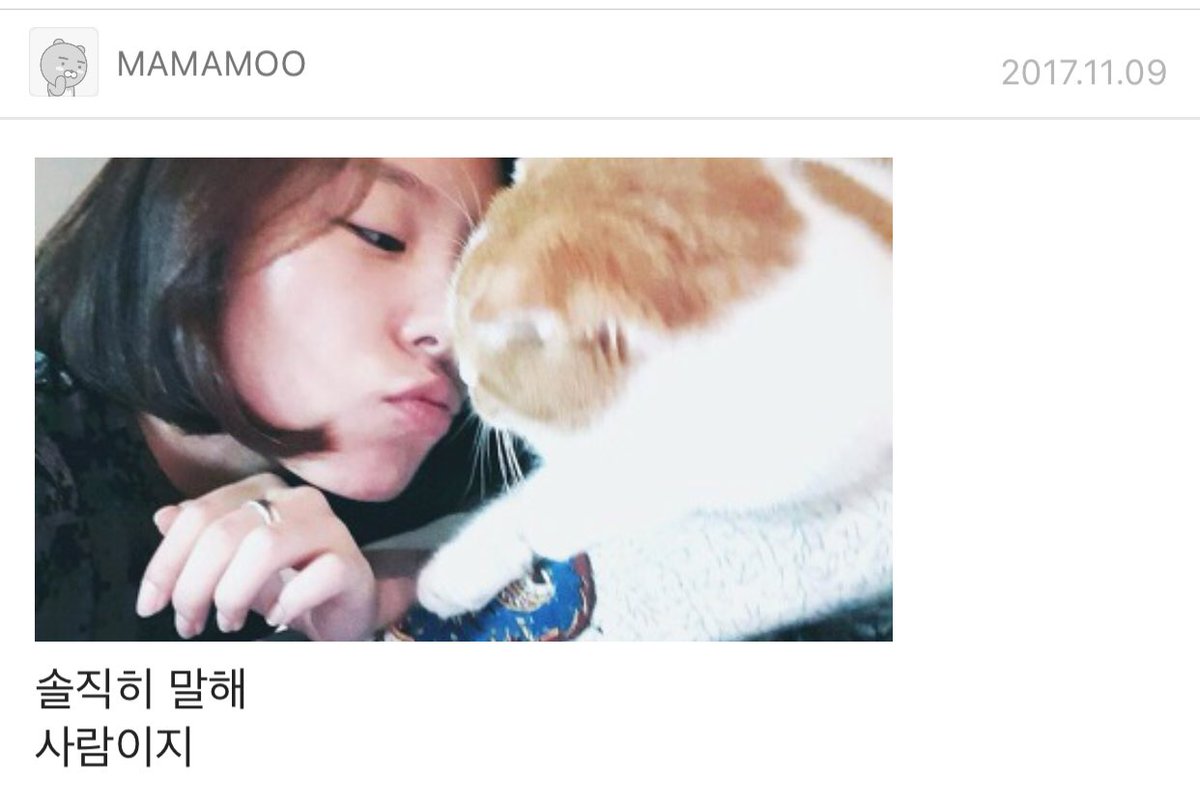 realladymoo's tweet photo. [11.09.17 WHEEIN memo]
Tell me the truth
You’re secretly a human right? https://t.co/EbPLUrljoz