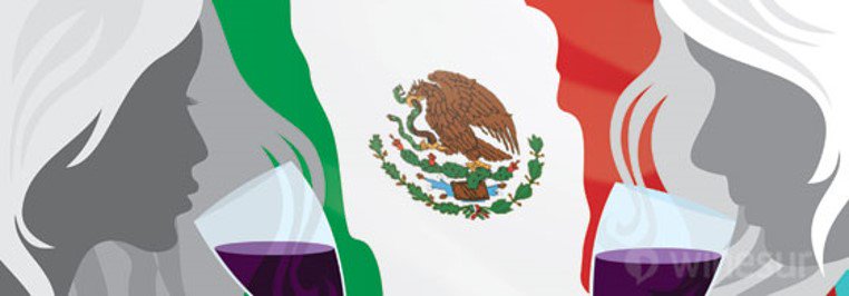 ginasommelier's tweet photo. Se ha aprobado una nueva ley que promueva el vino mexicano. Conoce la noticia completa en: https://t.co/EgeI884yrB #VinoMexicano https://t.co/e0lANtq5g5